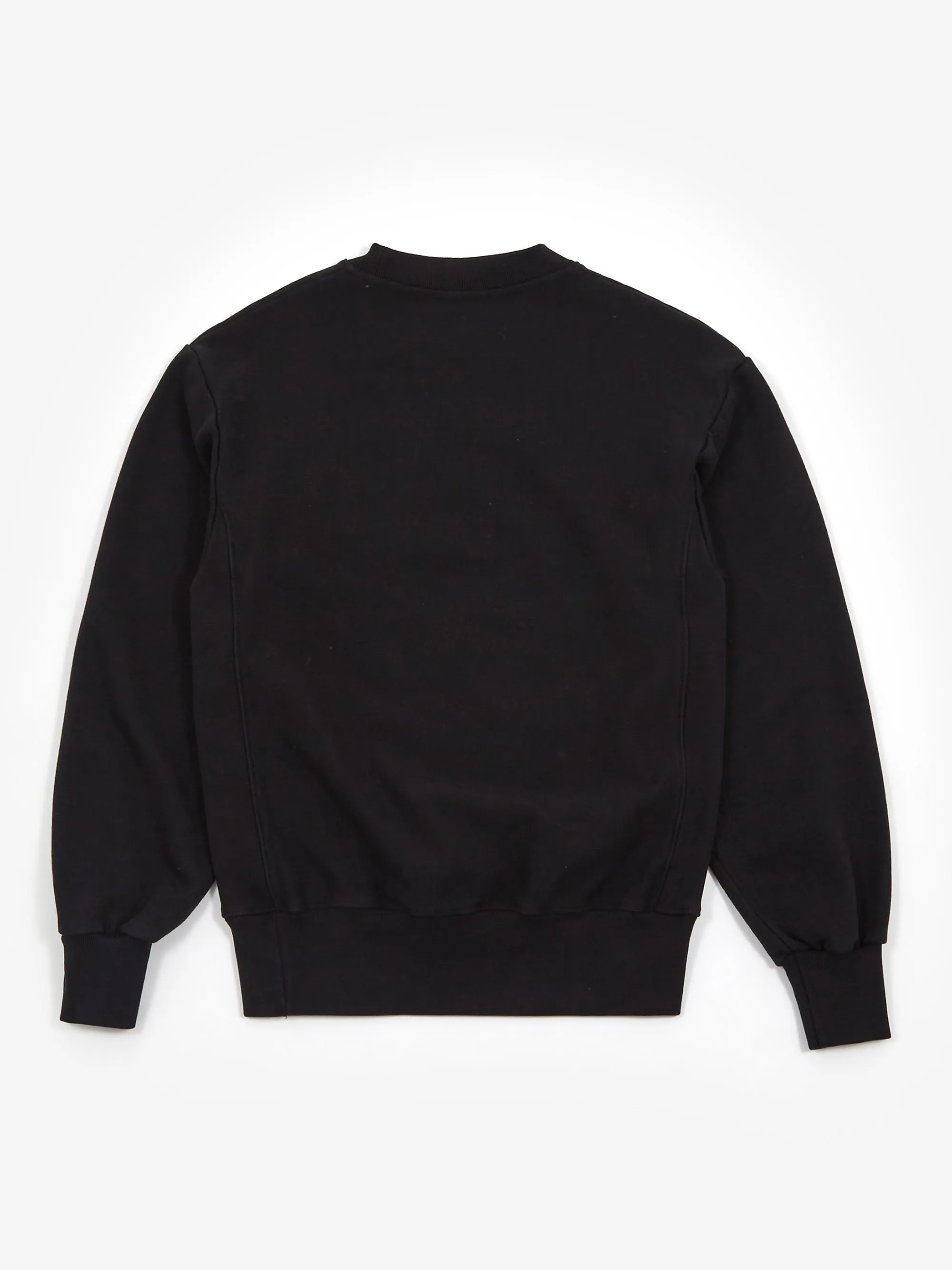 Aries Premium Temple Sweatshirt W - Black