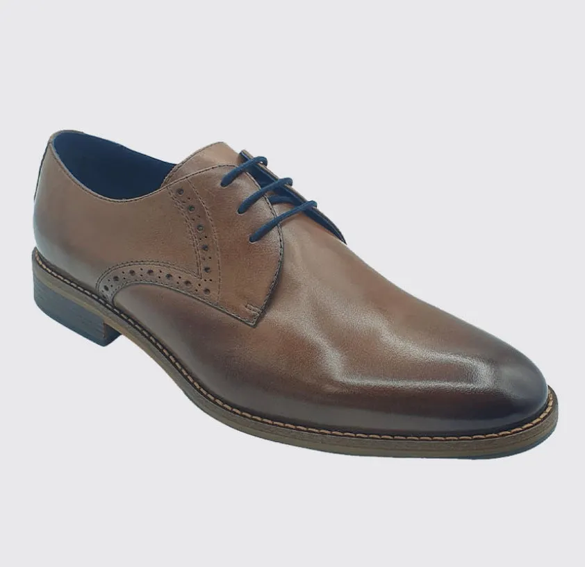 Dubarry Slade Men's Laced Shoe 5823-07