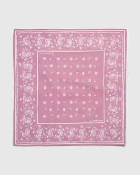 TerraDye Paisley Bandana