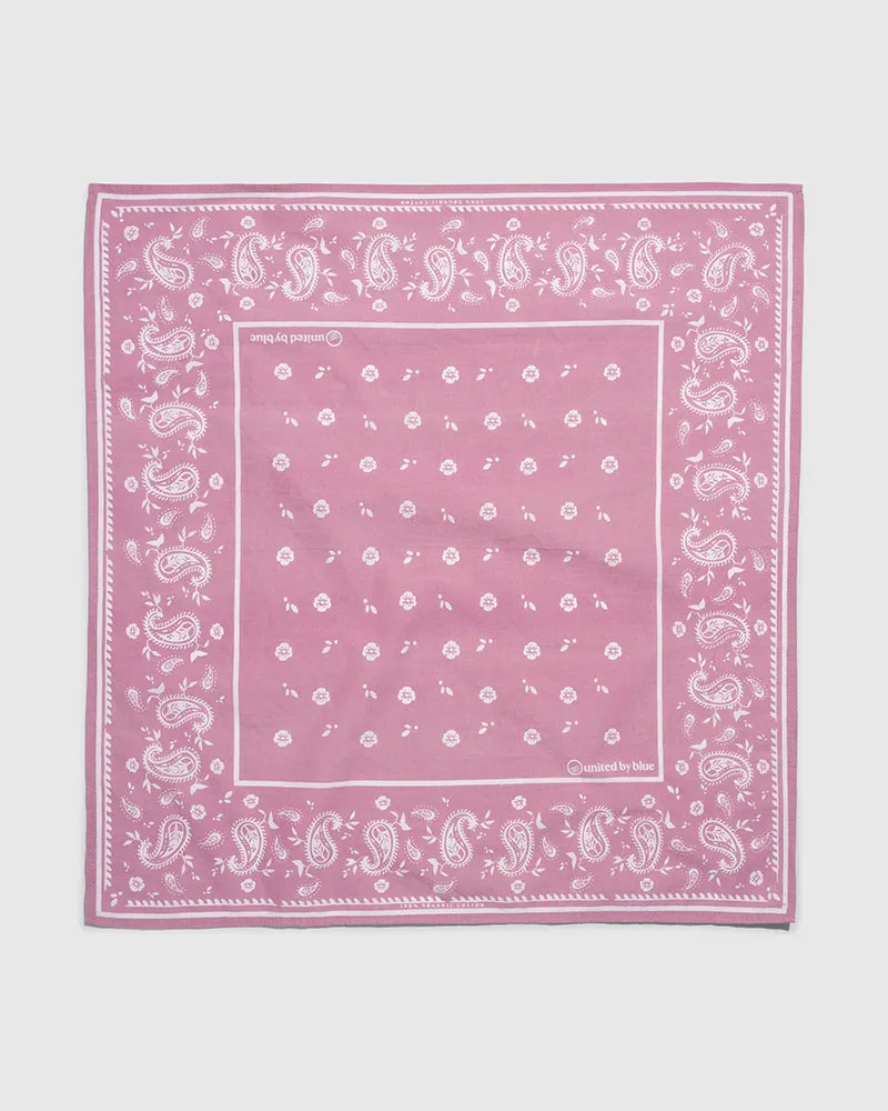 TerraDye Paisley Bandana